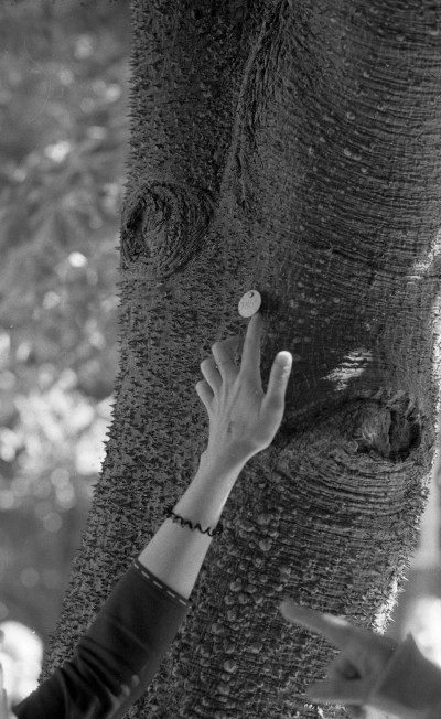 Second Nature by Damien Laing