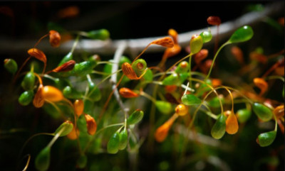 My Backyard by Mark Griffin